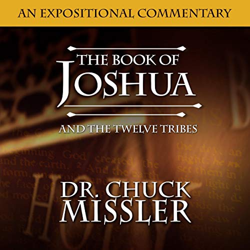 Cover of The Book of Joshua and the Twelve Tribes