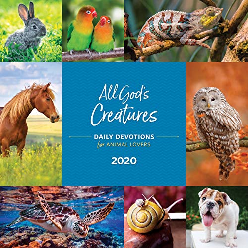 Cover of All God's Creatures