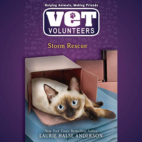 Cover of Storm Rescue