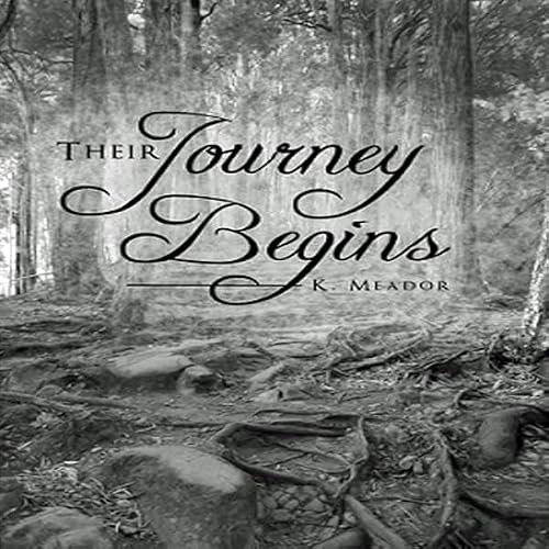 Cover of Their Journey Begins