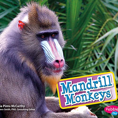 Cover of Mandrill Monkeys