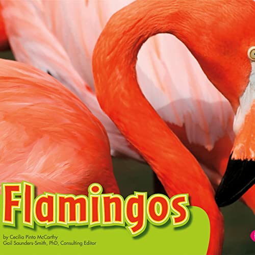 Cover of Flamingos