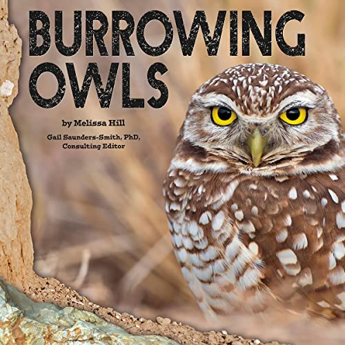 Cover of Burrowing Owls