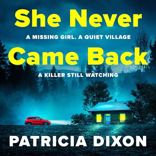 Cover of She Never Came Back