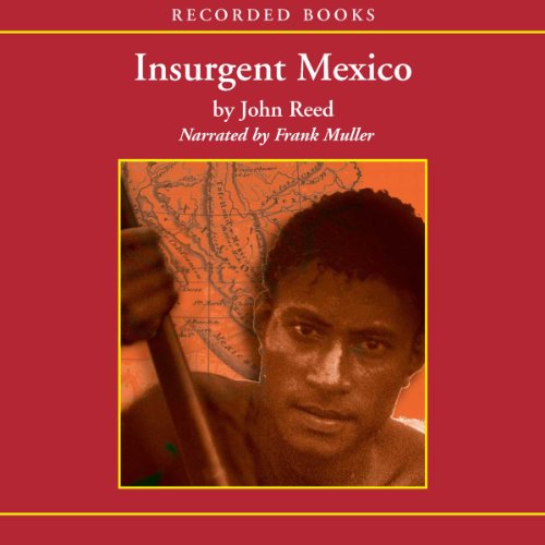 Cover of Insurgent Mexico