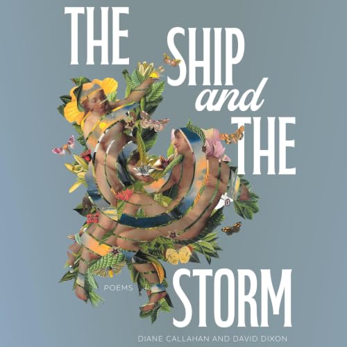 Cover of The Ship and the Storm