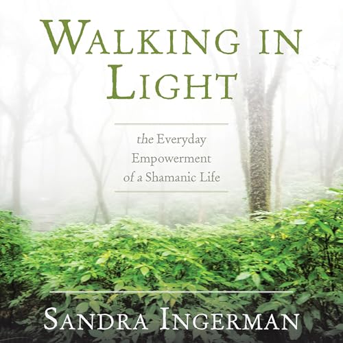 Cover of Walking in Light
