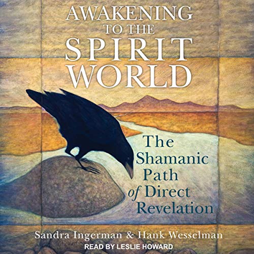 Cover of Awakening to the Spirit World