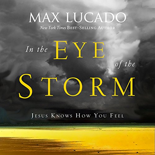 Cover of In the Eye of the Storm