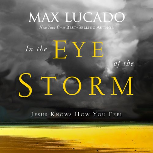 Cover of In the Eye of the Storm