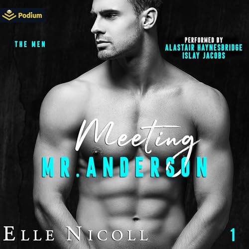 Cover of Meeting Mr. Anderson