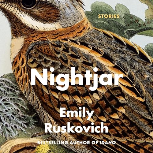 Cover of Nightjar