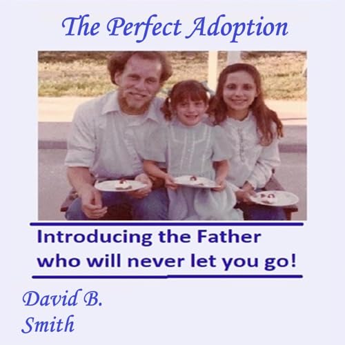 Cover of The Perfect Adoption