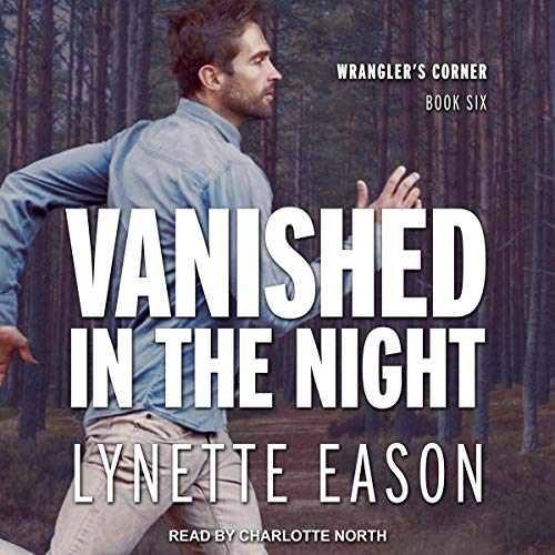 Cover of Vanished in the Night