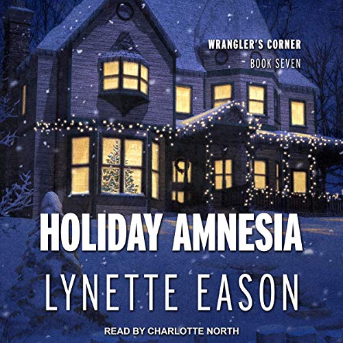 Cover of Holiday Amnesia