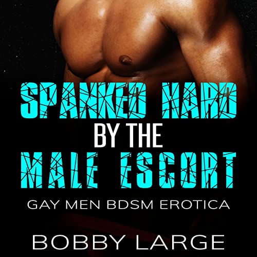 Cover of Spanked Hard by the Male Escort