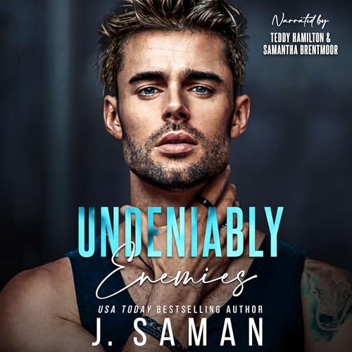 Cover of Undeniably Enemies