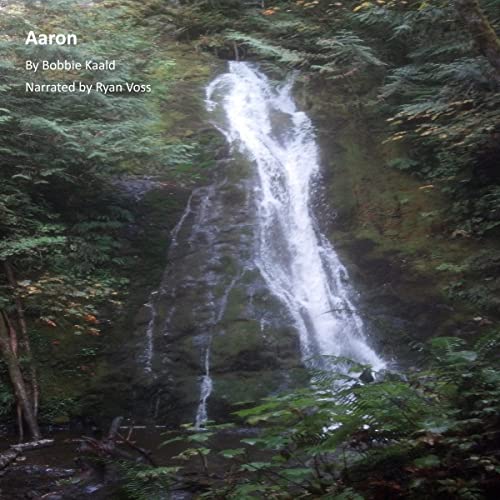 Cover of Aaron