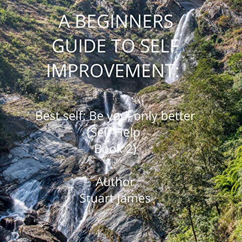 Cover of A Beginners Guide to Self Improvement