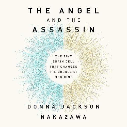 Cover of The Angel and the Assassin
