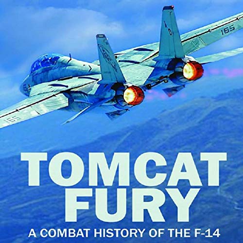 Cover of Tomcat Fury
