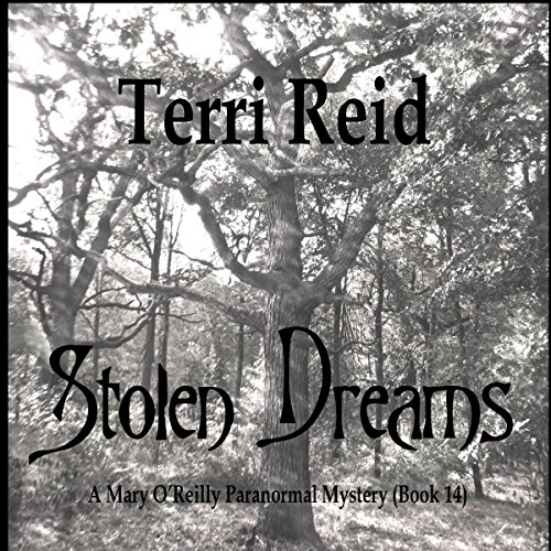 Cover of Stolen Dreams
