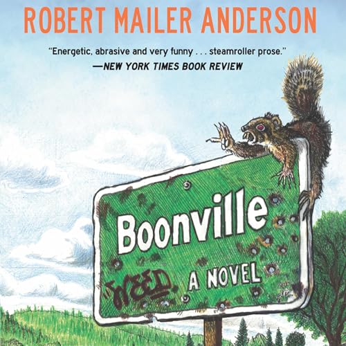 Cover of Boonville