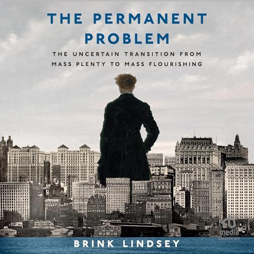 Cover of The Permanent Problem