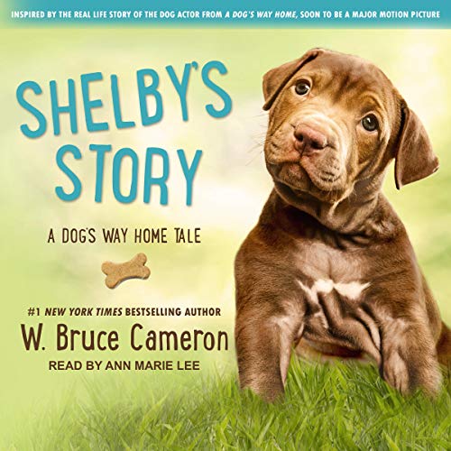 Cover of Shelby’s Story