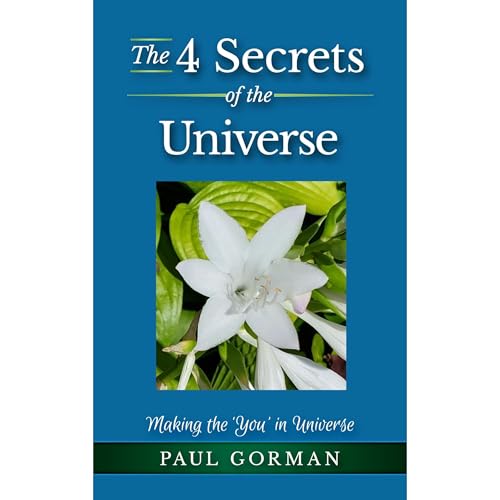 Cover of The 4 Secrets of the Universe