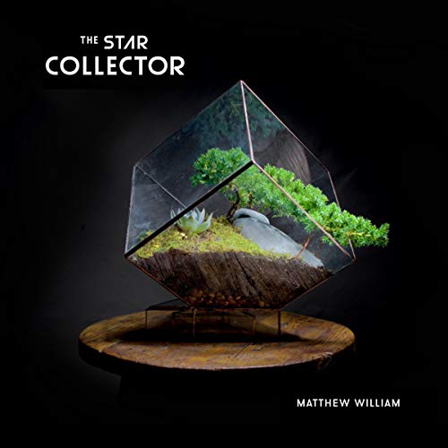 Cover of The Star Collector