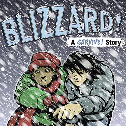 Cover of Blizzard!