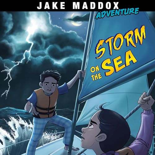 Cover of Storm on the Sea
