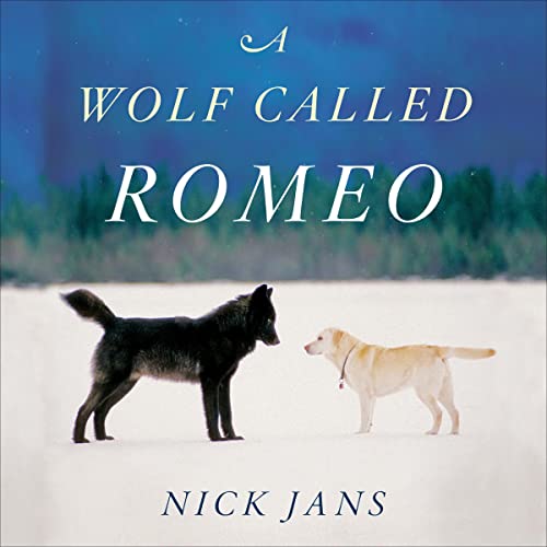 Cover of A Wolf Called Romeo