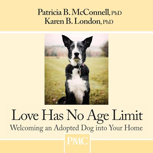 Cover of Love Has No Age Limit
