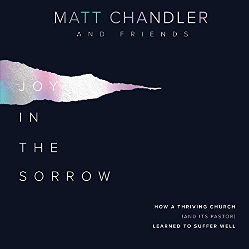 Cover of Joy in the Sorrow