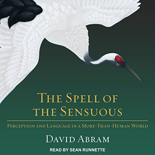 Cover of The Spell of the Sensuous