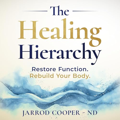 Cover of The Healing Hierarchy
