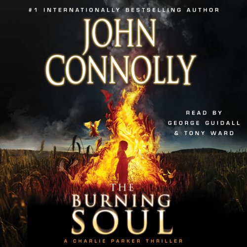 Cover of Burning Soul Volume 10