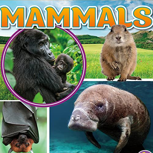 Cover of Mammals
