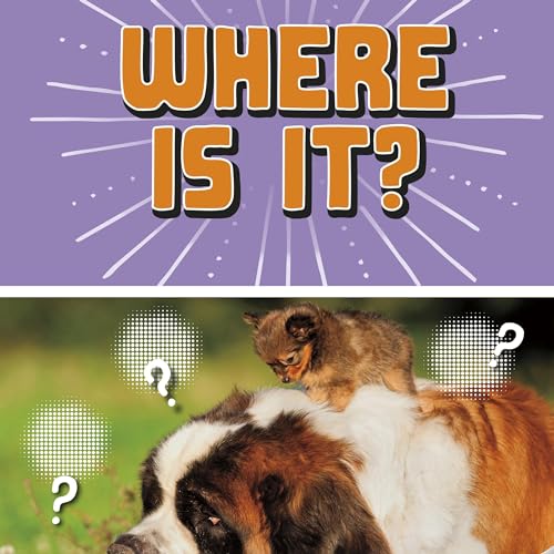 Cover of Where Is It?