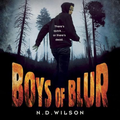 Cover of Boys of Blur