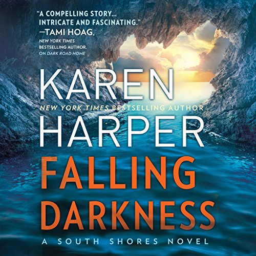 Cover of Falling Darkness
