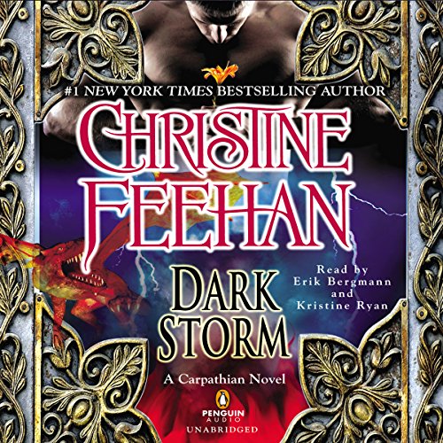 Cover of Dark Storm