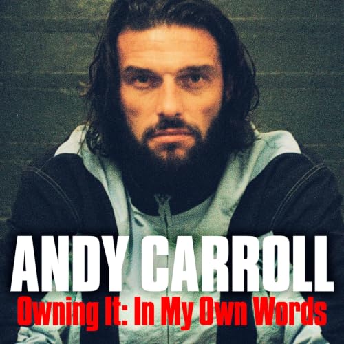 Cover of Owning It