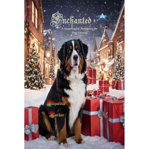 Cover of ENCHANTED