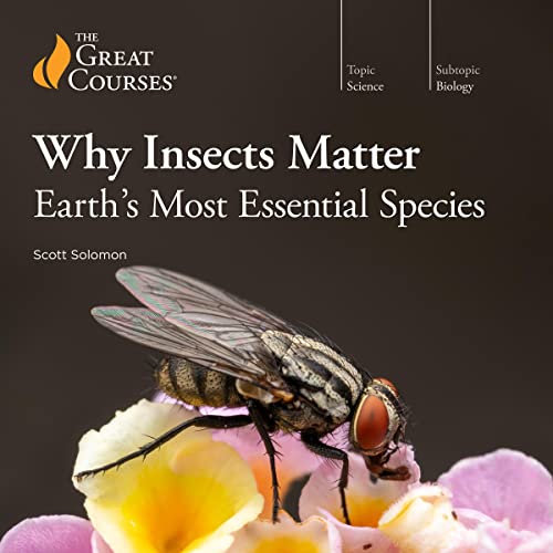 Cover of Why Insects Matter