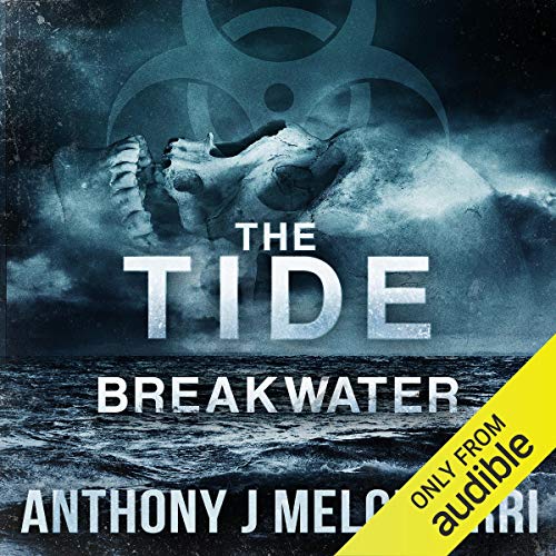 Cover of Breakwater