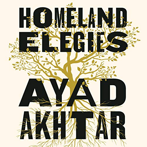 Cover of Homeland Elegies