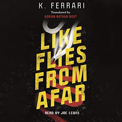Cover of Like Flies from Afar